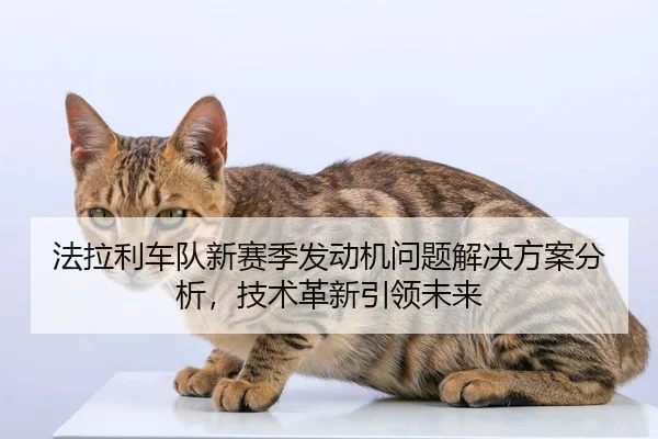 法拉利车队新赛季发动机问题解决方案分析，技术革新引领未来