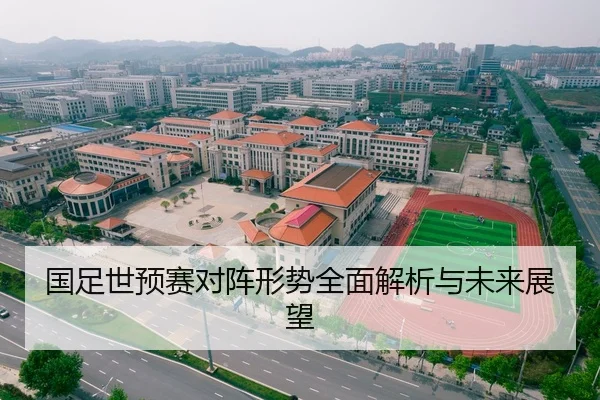 国足世预赛对阵形势全面解析与未来展望